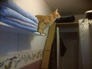 IMG-20120810-00170.jpg IMG-20120810-00170.jpg