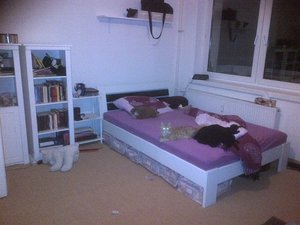 IMG-20120813-00185.jpg IMG-20120813-00185.jpg