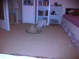 IMG-20120813-00179.jpg IMG-20120813-00179.jpg