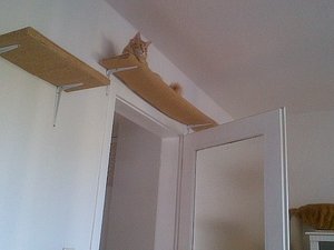 IMG-20120813-00172.jpg IMG-20120813-00172.jpg