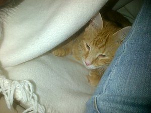 IMG-20120813-00175.jpg IMG-20120813-00175.jpg