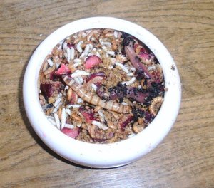 Futterteller Gemischtköstler ausgeschnKB.jpg