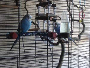 DSC00010.JPG DSC00010.JPG