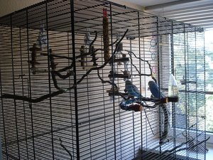 DSC00012.JPG DSC00012.JPG