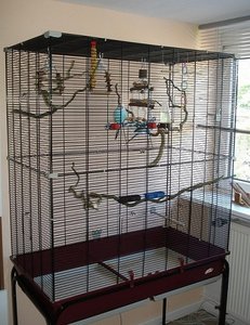 DSC00008.JPG DSC00008.JPG