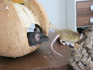 Endlich fertig! 048.JPG