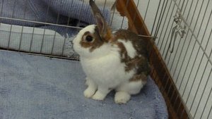 P1000556.jpg P1000556.jpg