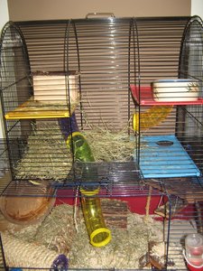 IMG_3081.jpg IMG_3081.jpg