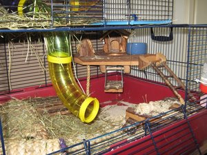 IMG_3080.jpg IMG_3080.jpg