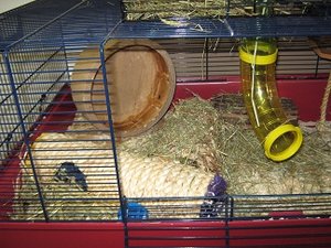 IMG_3079.jpg IMG_3079.jpg