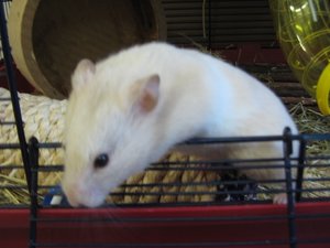 IMG_3087.jpg IMG_3087.jpg