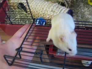 IMG_3091.jpg IMG_3091.jpg