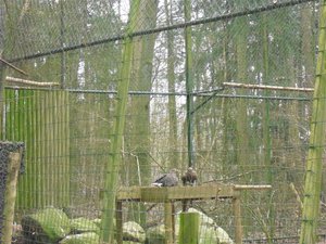 CIMG6631 (Medium).JPG