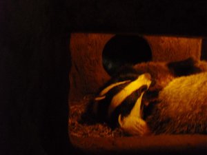 CIMG6645 (Medium).JPG