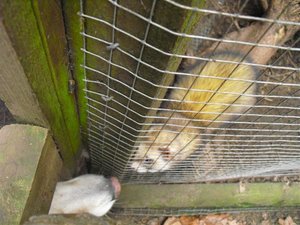 CIMG6649 (Medium).JPG