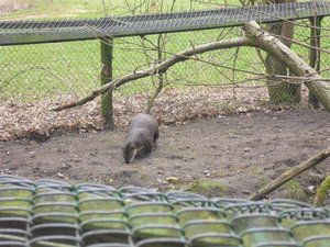 CIMG6682 (Medium).JPG