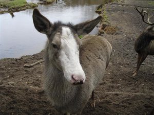 CIMG6662 (Medium).JPG