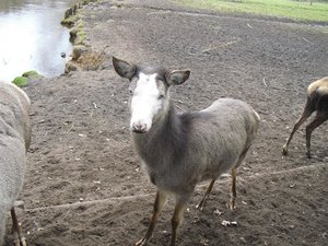 CIMG6663 (Medium).JPG