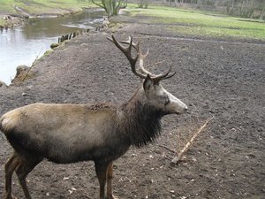 CIMG6664 (Medium).JPG