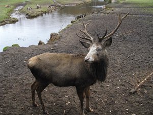 CIMG6666 (Medium).JPG