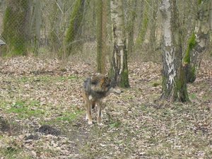 CIMG6669 (Medium).JPG