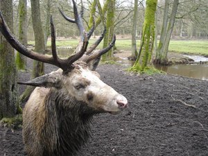 CIMG6671 (Medium).JPG