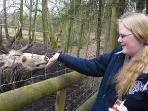 CIMG6672 (Medium).JPG