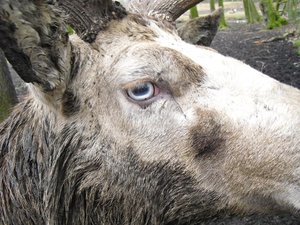 CIMG6678 (Medium).JPG