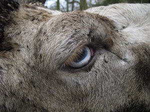 CIMG6679 (Medium).JPG