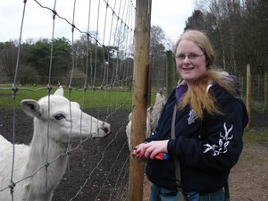 CIMG6762 (Medium).JPG CIMG6762 (Medium).JPG