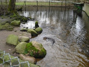 CIMG6688 (Medium).JPG CIMG6688 (Medium).JPG