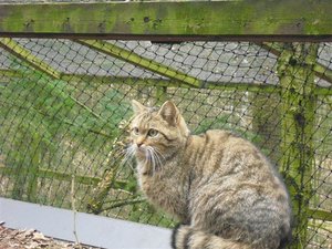 CIMG6708 (Medium).JPG CIMG6708 (Medium).JPG