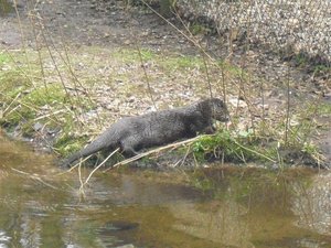 CIMG6715 (Medium).JPG CIMG6715 (Medium).JPG