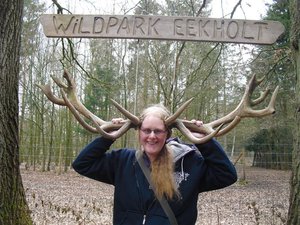 CIMG6727 (Medium).JPG CIMG6727 (Medium).JPG