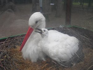 CIMG6733 (Medium).JPG CIMG6733 (Medium).JPG