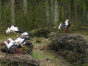 CIMG6737 (Medium).JPG CIMG6737 (Medium).JPG