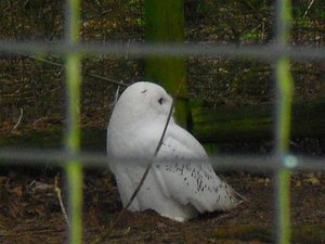 CIMG6739 (Medium).JPG CIMG6739 (Medium).JPG