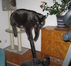 2bb1f687ee7cf5c256fe64df9b5eb676.jpg 2bb1f687ee7cf5c256fe64df9b5eb676.jpg