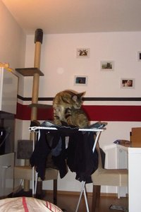 IMG_7013.JPG IMG_7013.JPG