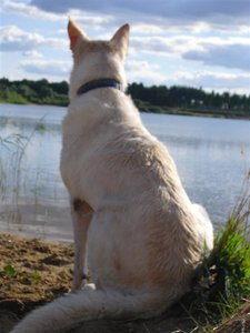 CIMG7362 (Medium).JPG