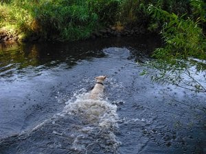 CIMG7600 (Medium).JPG