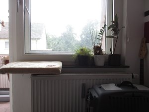 IMG_0269.JPG IMG_0269.JPG