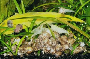 101_4348.jpg 101_4348.jpg