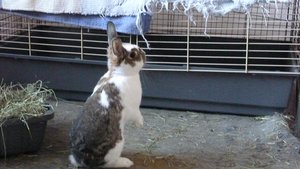 3502vsh.jpg 3502vsh.jpg