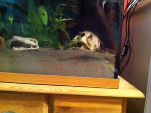 imagephij.jpg imagephij.jpg