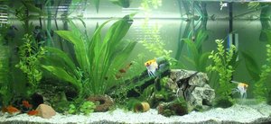 IMG_6152 (Kopie) (2).JPG