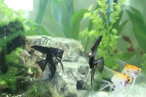 IMG_6138 (Kopie) (2).JPG