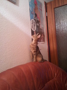 2012-08-22 21.35.35.jpg