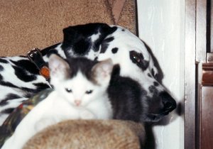 image1.jpg image1.jpg