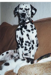 image0-001.jpg image0-001.jpg